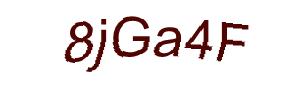 عبارت امنیتی