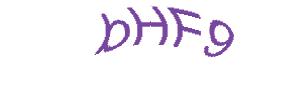 عبارت امنیتی