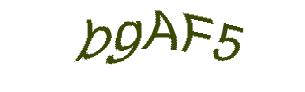 عبارت امنیتی