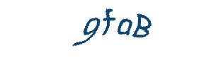 عبارت امنیتی