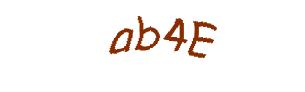 عبارت امنیتی