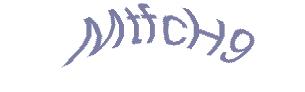 عبارت امنیتی