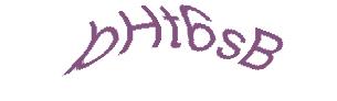 عبارت امنیتی