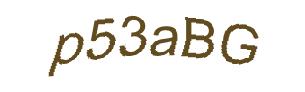 عبارت امنیتی