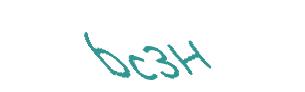 عبارت امنیتی