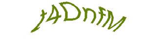 عبارت امنیتی