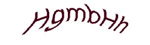 عبارت امنیتی