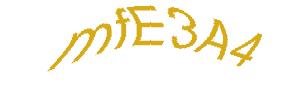 عبارت امنیتی