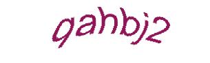 عبارت امنیتی
