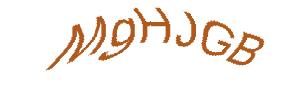 عبارت امنیتی