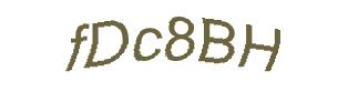 عبارت امنیتی