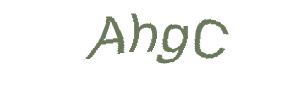 عبارت امنیتی