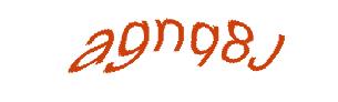 عبارت امنیتی