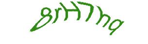 عبارت امنیتی
