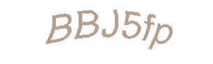 عبارت امنیتی