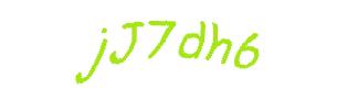 عبارت امنیتی