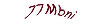 عبارت امنیتی