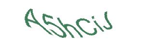 عبارت امنیتی