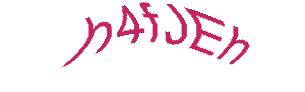 عبارت امنیتی