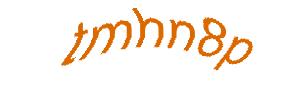 عبارت امنیتی