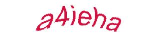عبارت امنیتی
