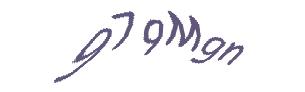 عبارت امنیتی
