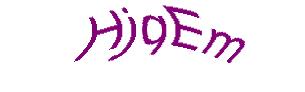 عبارت امنیتی