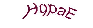 عبارت امنیتی