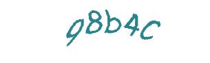 عبارت امنیتی