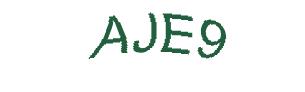 عبارت امنیتی