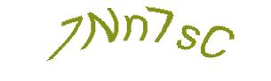 عبارت امنیتی