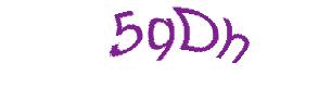 عبارت امنیتی