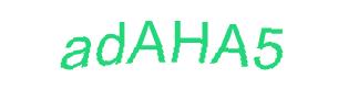 عبارت امنیتی