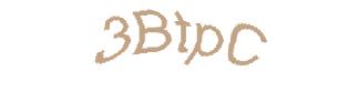 عبارت امنیتی