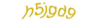 عبارت امنیتی