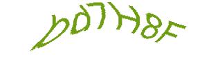 عبارت امنیتی