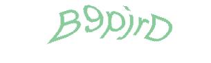 عبارت امنیتی