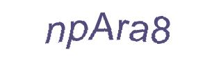 عبارت امنیتی
