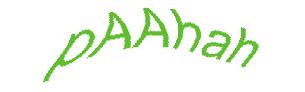 عبارت امنیتی