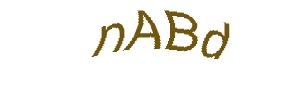 عبارت امنیتی
