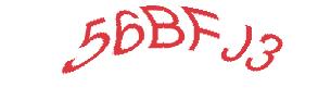 عبارت امنیتی