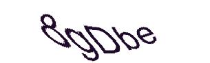 عبارت امنیتی