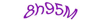 عبارت امنیتی