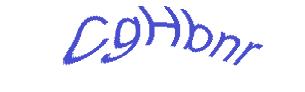 عبارت امنیتی