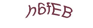 عبارت امنیتی