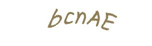 عبارت امنیتی