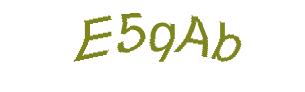 عبارت امنیتی