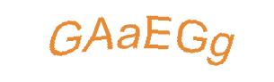 عبارت امنیتی