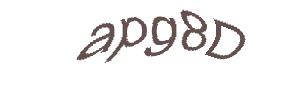 عبارت امنیتی