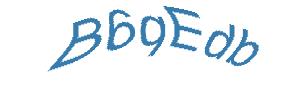 عبارت امنیتی